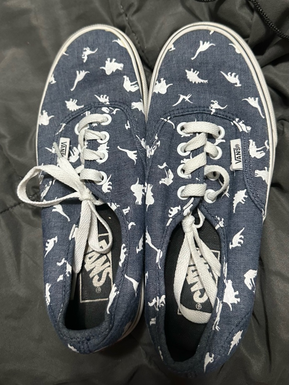 Denim Dinosaur Vans